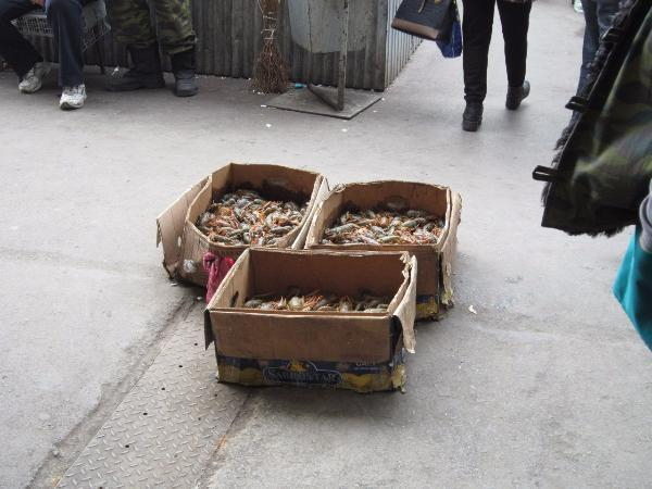 Ретивые работники несанкционированных торговых точек в Таганроге успевают убежать от полиции