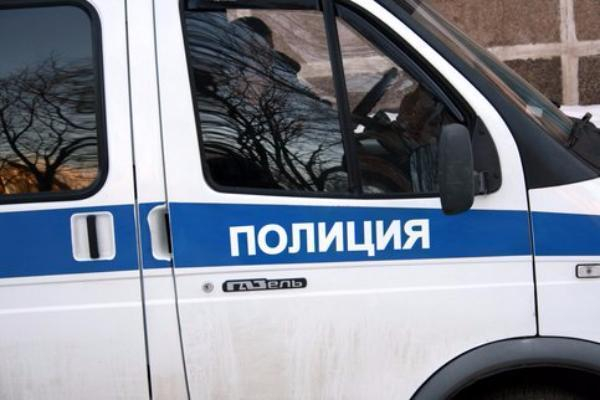 Таганрогский дебошир напавший на полицейского в электричке пойдет под суд