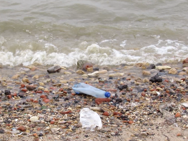 Волонтеры Таганрога почистят Центральный пляж к купальному сезону
