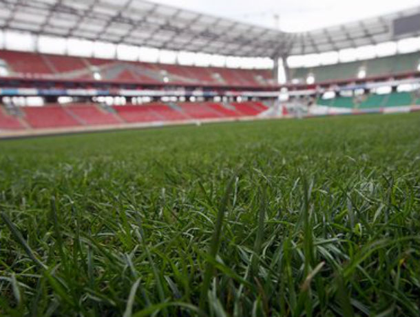 На стадионе «Торпедо» в Таганроге взошла зеленая трава