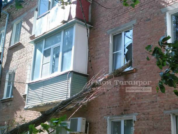 Огромный засохший тополь вонзился в окно техэтажного дома в Таганроге