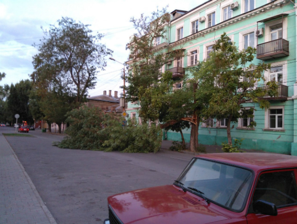 «Легкий бриз» свалил огромное дерево на Октябрьской площади в Таганроге