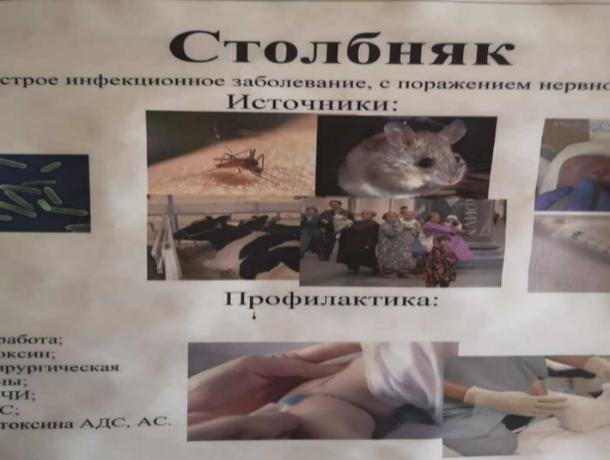 В таганрогском травмпункте похожих на цыган людей обвинили в переносе столбняка