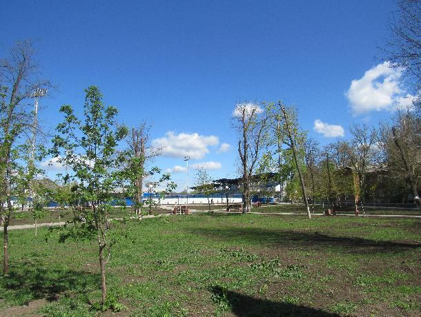 Сквер «Памяти» в Таганроге безжалостно вырубили и «позабыли» посадить, что обещали