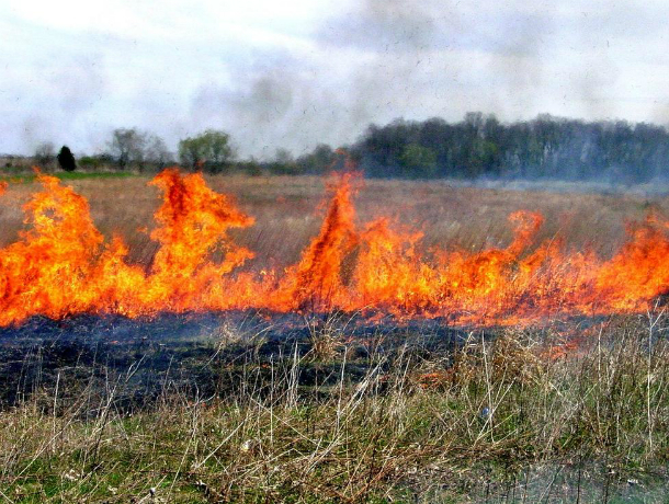 В Ростовской области   ожидается чрезвычайная пожароопасность
