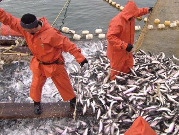 Рыбакам Таганрогского залива разрешили ловить леща и пиленгаса