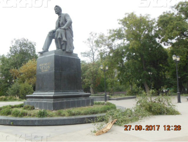 Памятник Чехова зарос сорняками и мусором в Таганроге