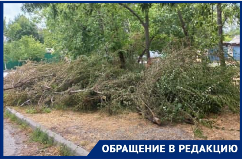«Две недели дежурим, чтобы пожара не случилось»: жители Таганрога напуганы обрезкой деревьев и завалами возле дома