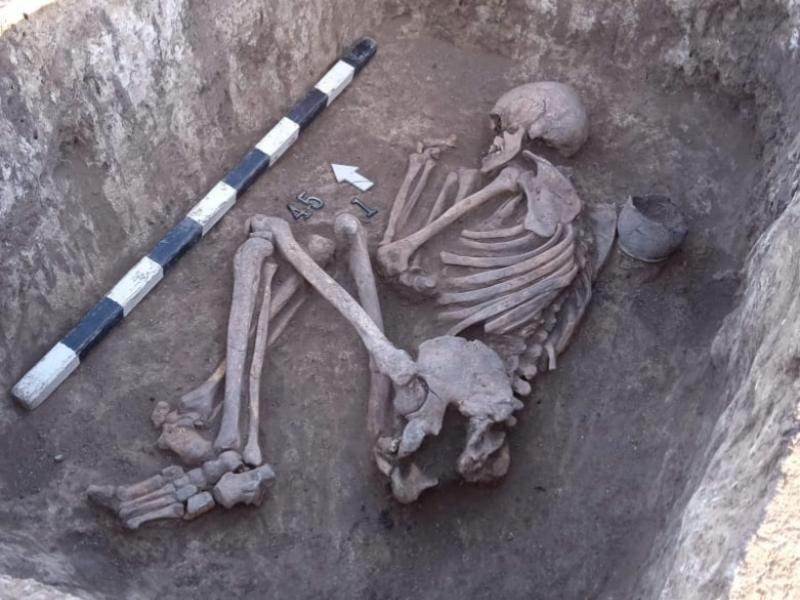 Археологи нашли древний скелет в районе села Троицкое