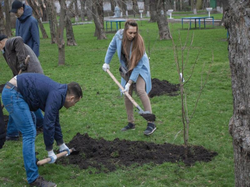 День древонасаждения подарит таганрожцам более 1200 деревьев и кустаринков
