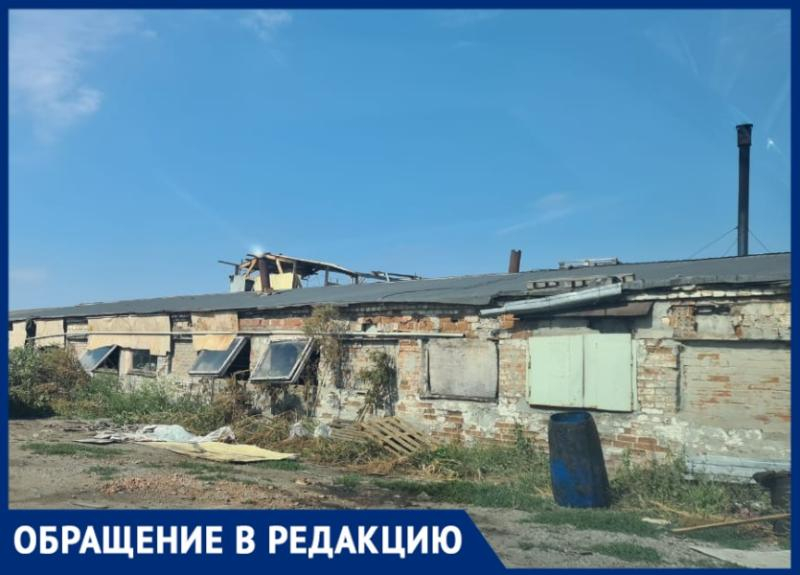 Жители Мариупольского шоссе в Таганроге несколько месяцев задыхаются от вони
