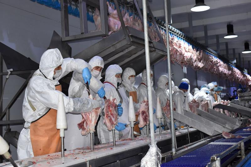 Производство мяса индейки в Ростовской области набирает обороты
