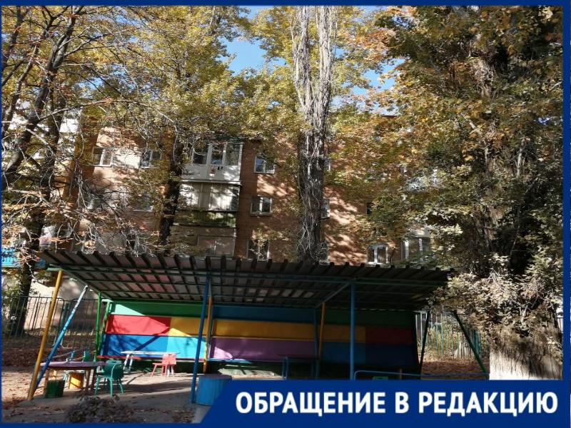 В Таганроге старые тополя угрожают жизни детей