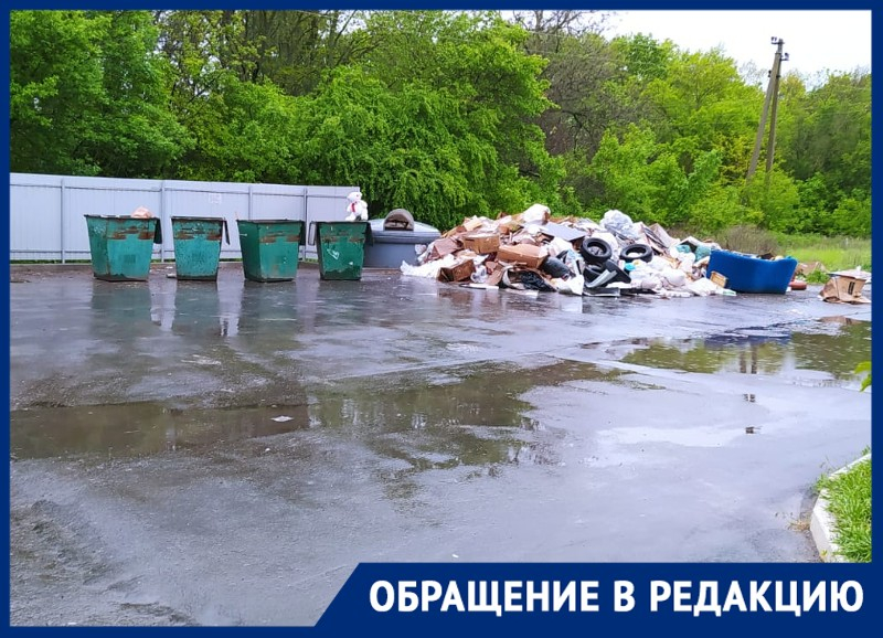 «Вывозят мусор все подряд»: на ул. Маргелова образовалась стихийная свалка