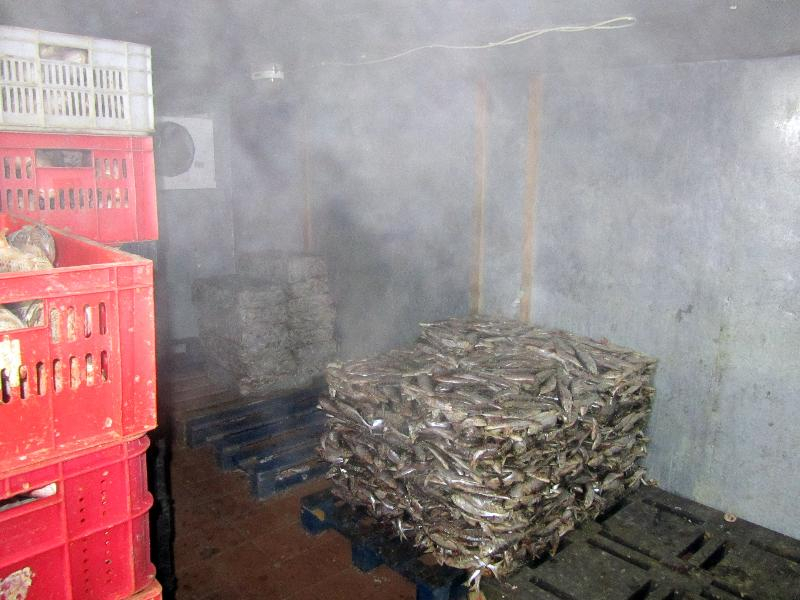 4 тысячи килограмм рыбы нашли на нелегальном складе молодого таганрожца
