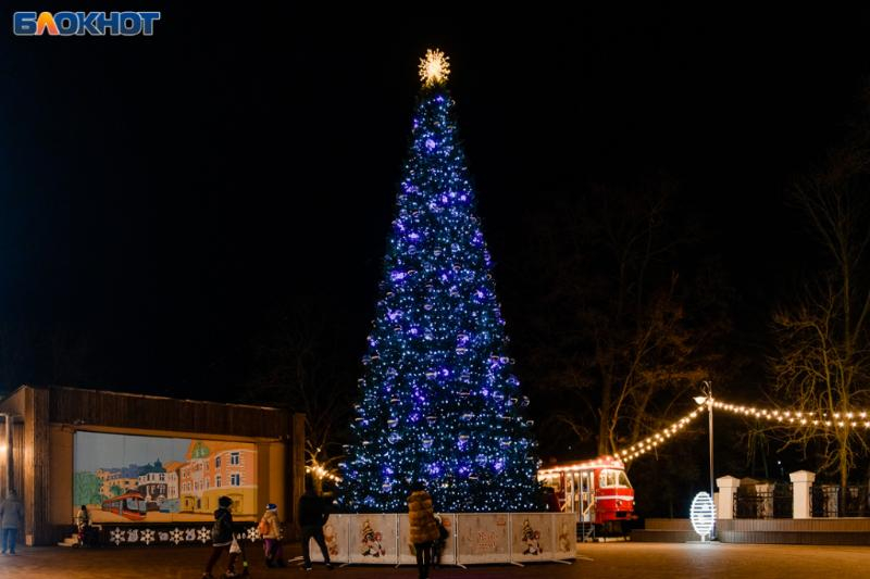 Жители Ростовской области требуют от губернатора отмены празднования Нового года