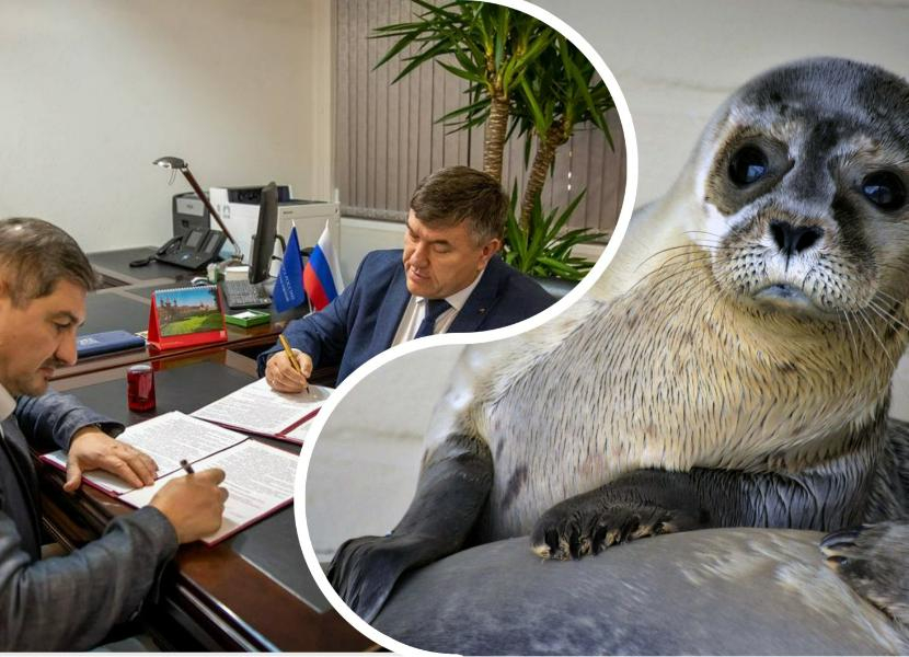 Благодаря сити-менеджеру Солоницину в Таганроге будут развивать «Большую Арктическую регату»
