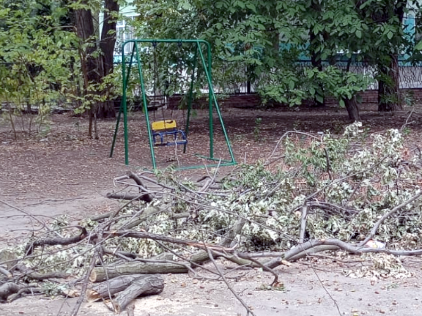 Управляющая компания и дерево: пусть весь Таганрог подождет