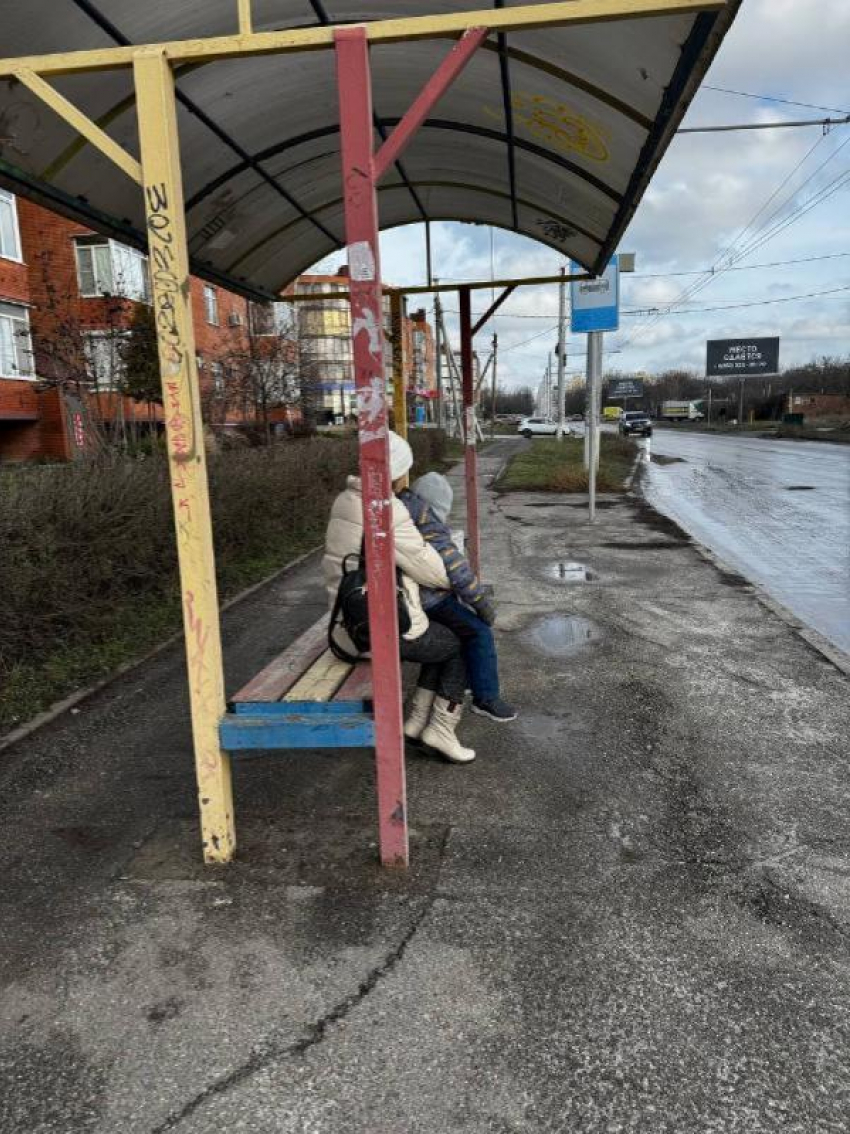 Изящное стихотворение написала таганроженка на тему городских остановок