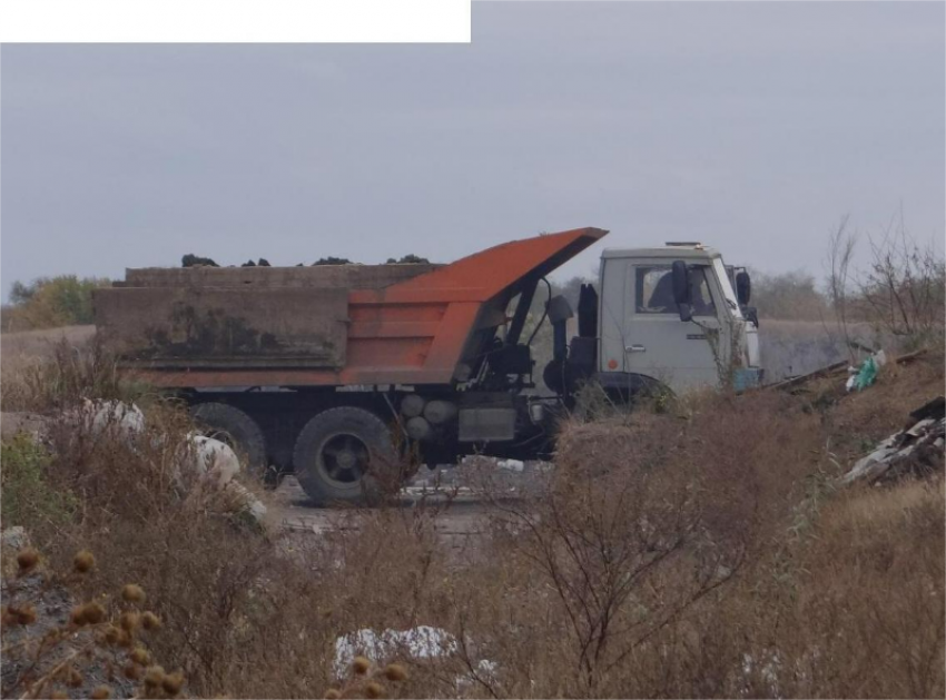 21 «герой» из Таганрога «украсил» областную доску позора