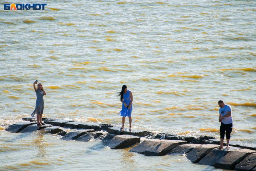 Супербактерии из Таганрогского залива: ученые ЮФУ обнаружили новую угрозу