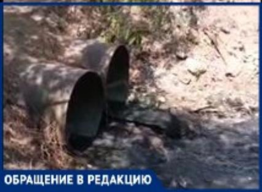 Таганрогский залив: кто-то ещё хочет искупаться?