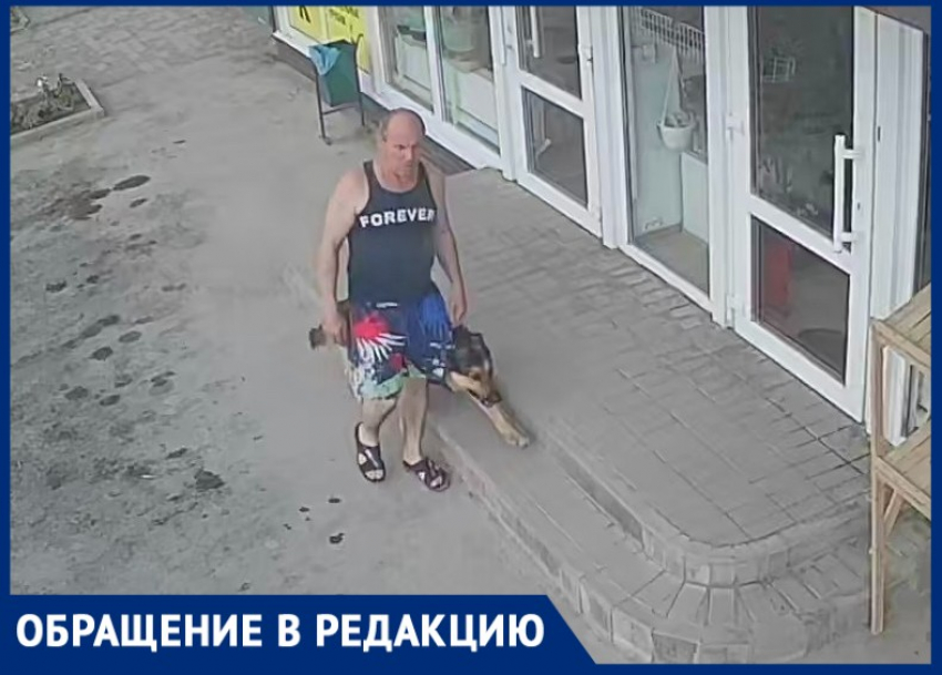 Таганрожцу так понравилась туя у магазина, что он решил унести её с собой