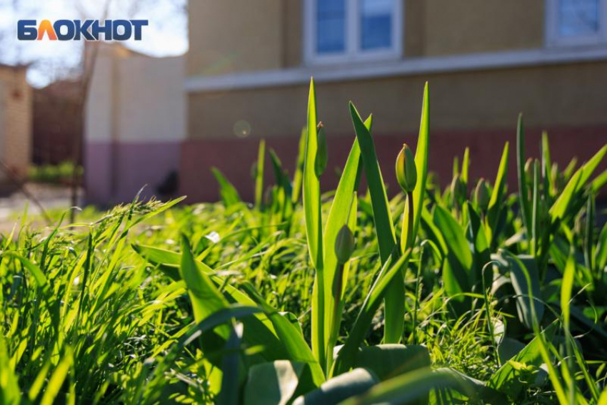 Смотреться в зеркало и давать в долг: что можно и нельзя делать в Евтропиев день, 16 марта