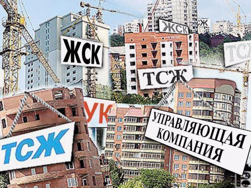 Три управляющие компании Таганрога поставили в пример остальным