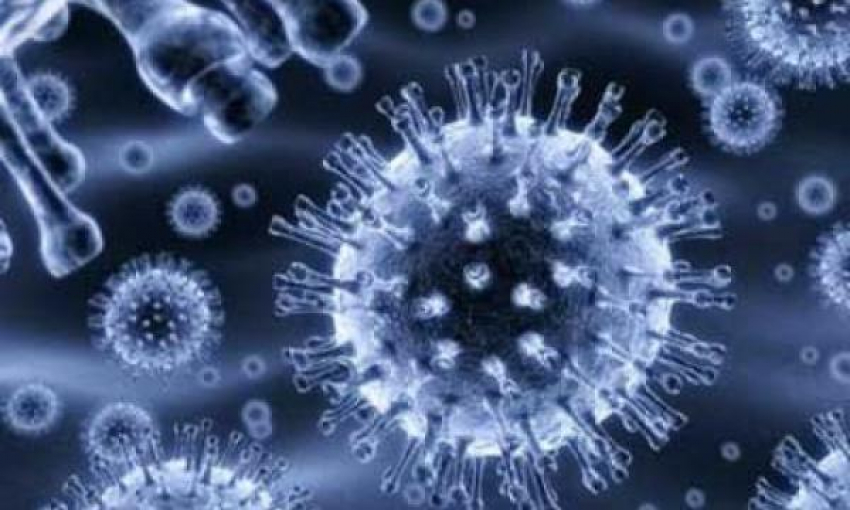 В Ростовской области зафиксирована вспышка энтеровируса