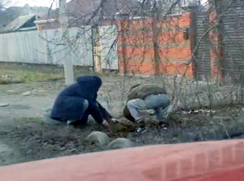 Портрет наркомана из Таганрога: кто стоит за цифровым ником
