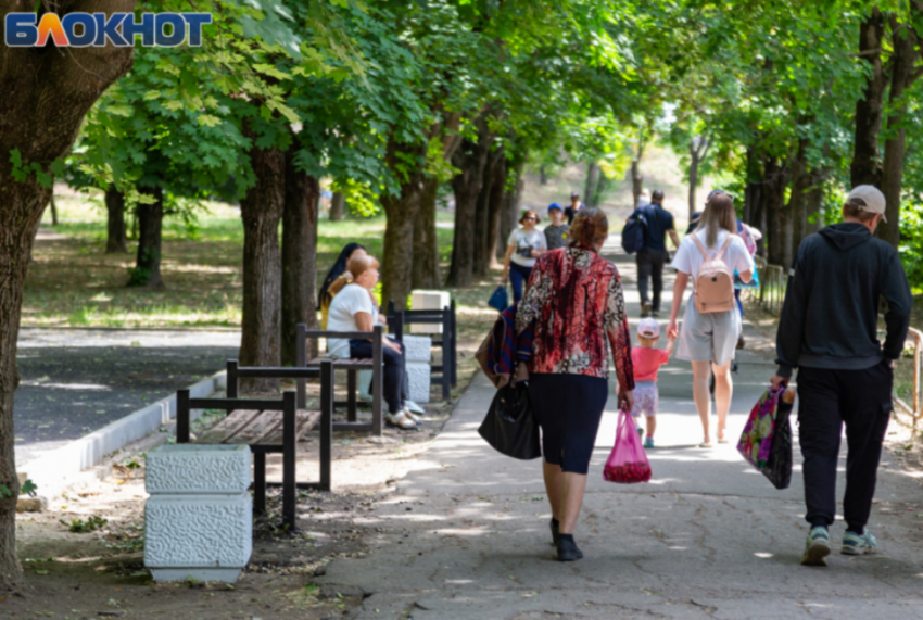 Из таганрогского сквера «сделают конфетку» - надо только самим выбрать, из какого