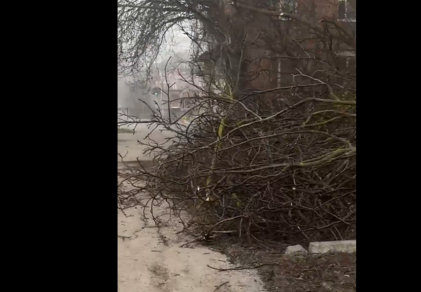 Сухая куча на Ломоносова, которую должны убрать ПЖ-19, ждет уборки вторую неделю