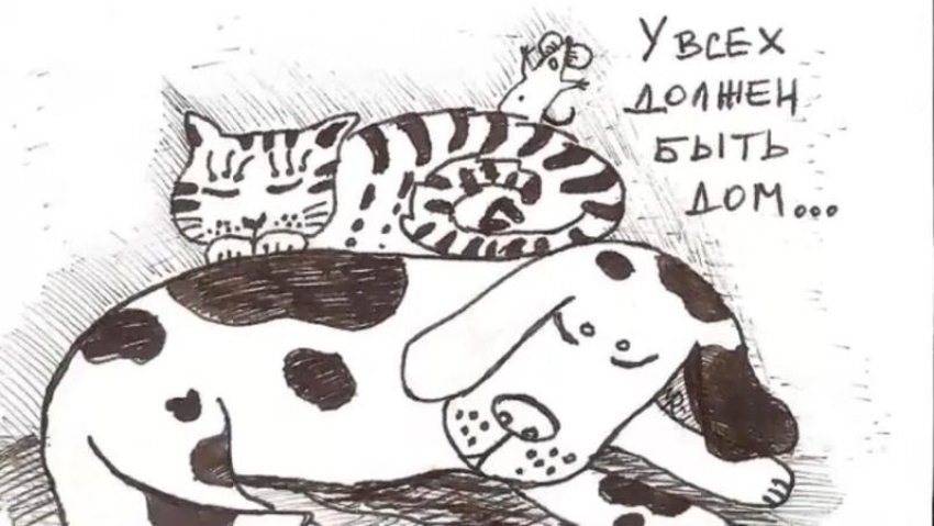 Таганрожцы отметили день защиты  наших «братьев меньших"