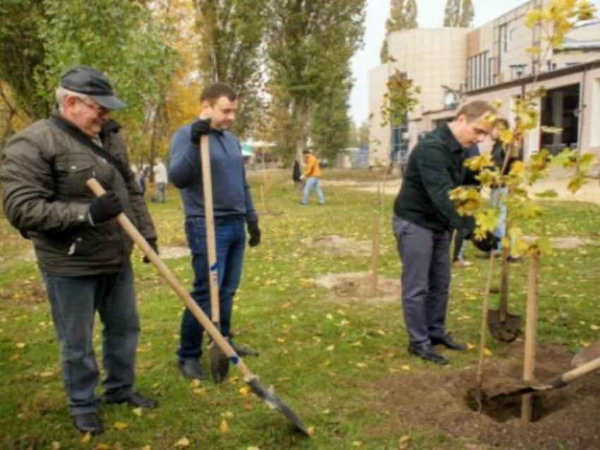 Таганрожцев приглашают принять участие в «Дне древонасаждения"