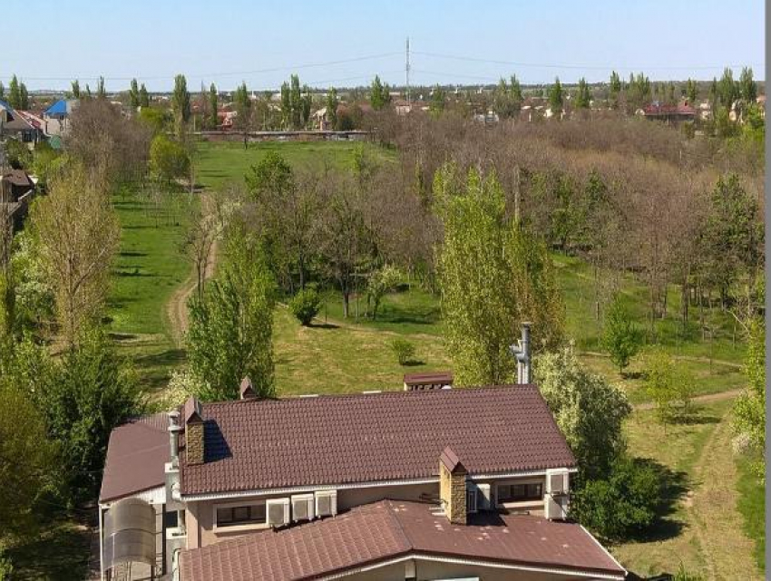 Парк им 300-летия Таганрога может засохнуть