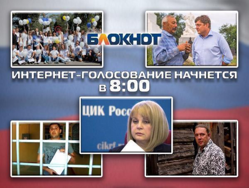 Песца, покемонов и незаконное задержание кандидата пустили в ход партии за неделю до выборов