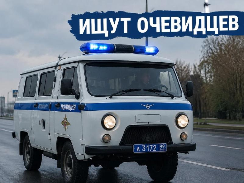Таганроженка ищет очевидцев нападения на подростков в парке Горького