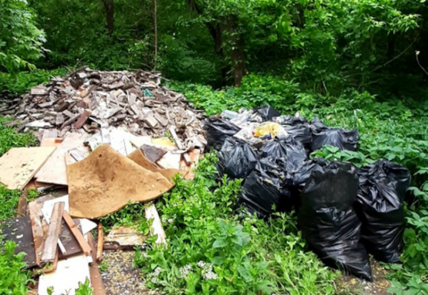 Команда энтузиастов решила заняться уборкой мусора в Таганроге 