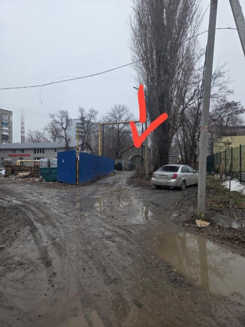 "Поход туда подобен смерти!": таганрожцы возмущены запущенной территорией у рентген-кабинета на Толбухина