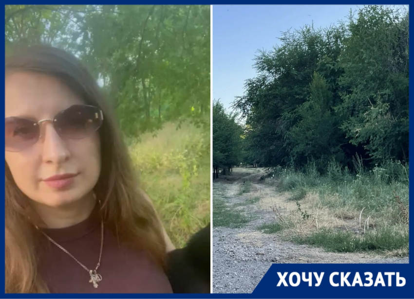 В Таганроге срубят 19 деревьев для строительства котельной в Военном городке