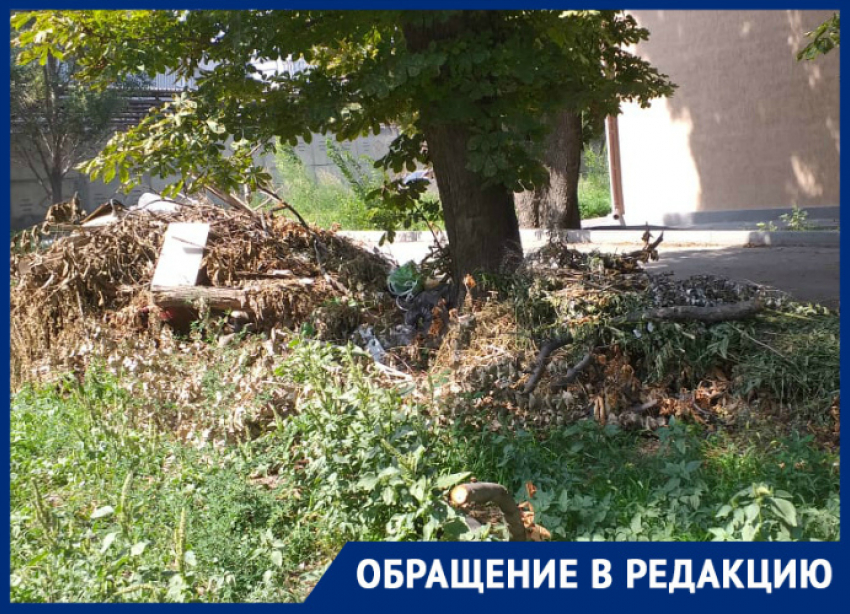 Жители ул. Социалистической в Таганроге жалуются на вонь с «Тагмета", амброзию и равнодушие властей
