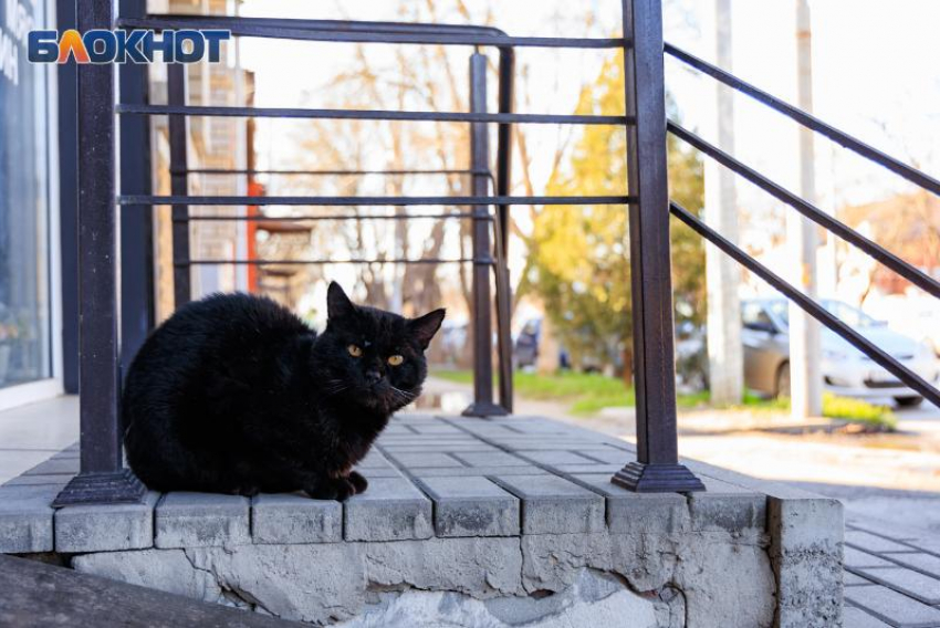 Какой будет погода на этой рабочей неделе