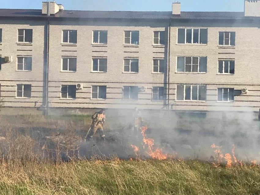 Штраф в двойном размере могут заплатить таганрожцы, которые поджигают сухую траву