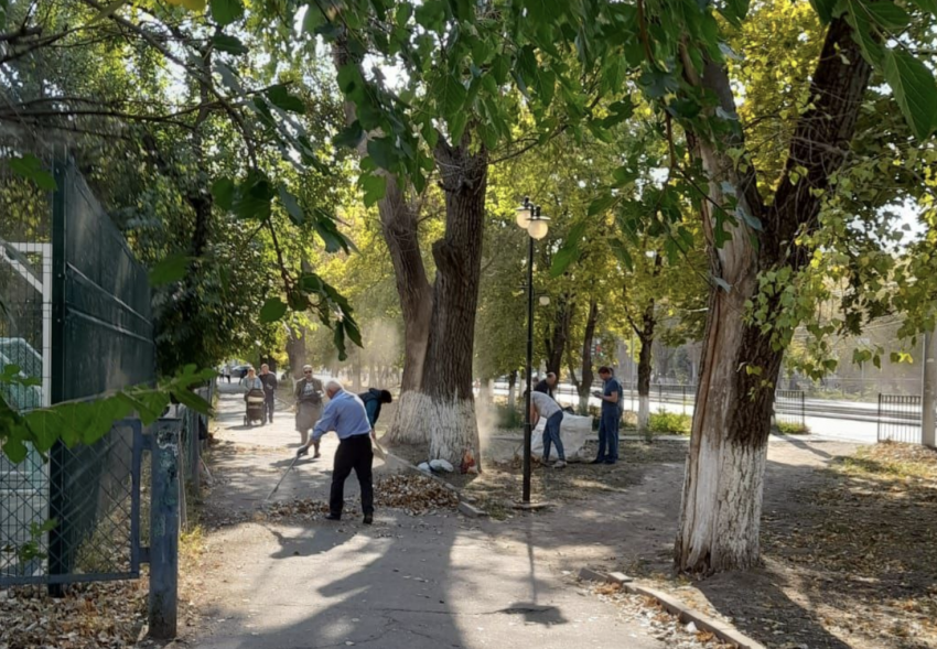 В Таганроге начинается месячник чистоты, жителей призывают присоединиться