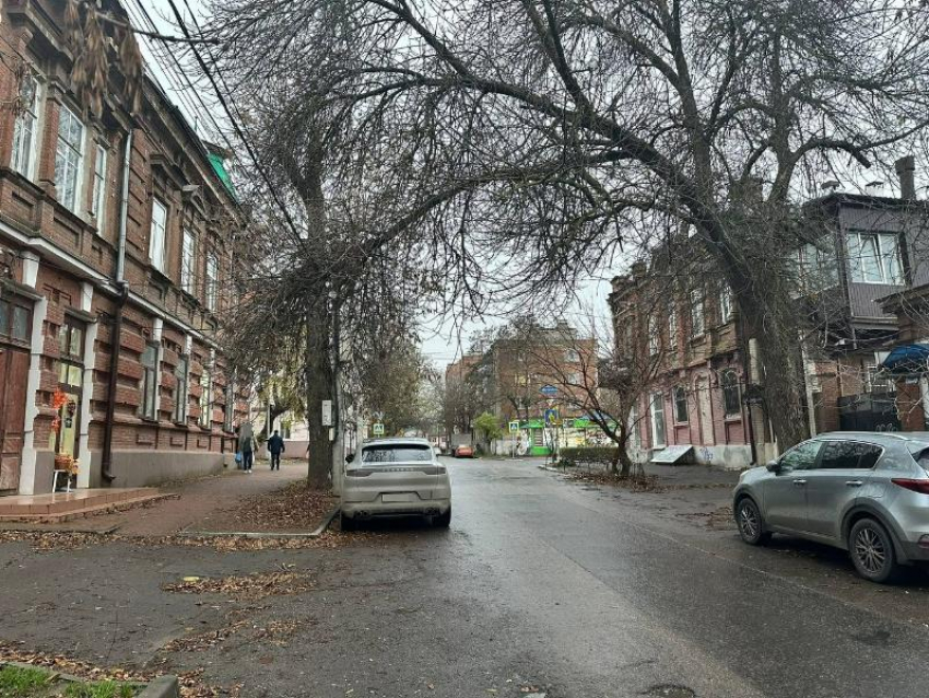 Рухнет и кого-то похоронит: опасная ветка цепляется за фуры в Таганроге