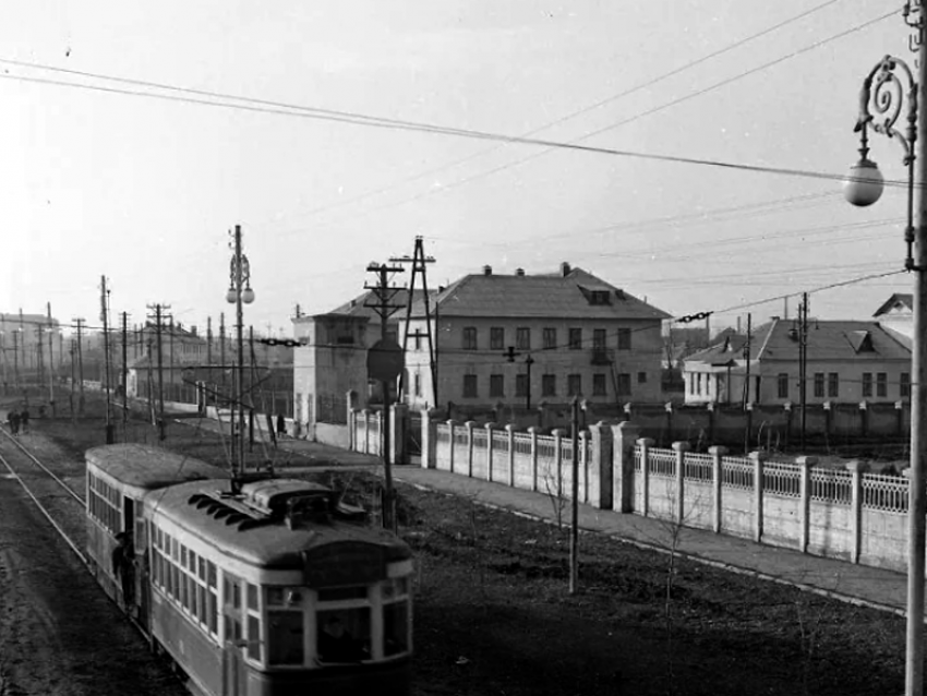 Редкое фото Таганрога показало, как важно заниматься озеленением города