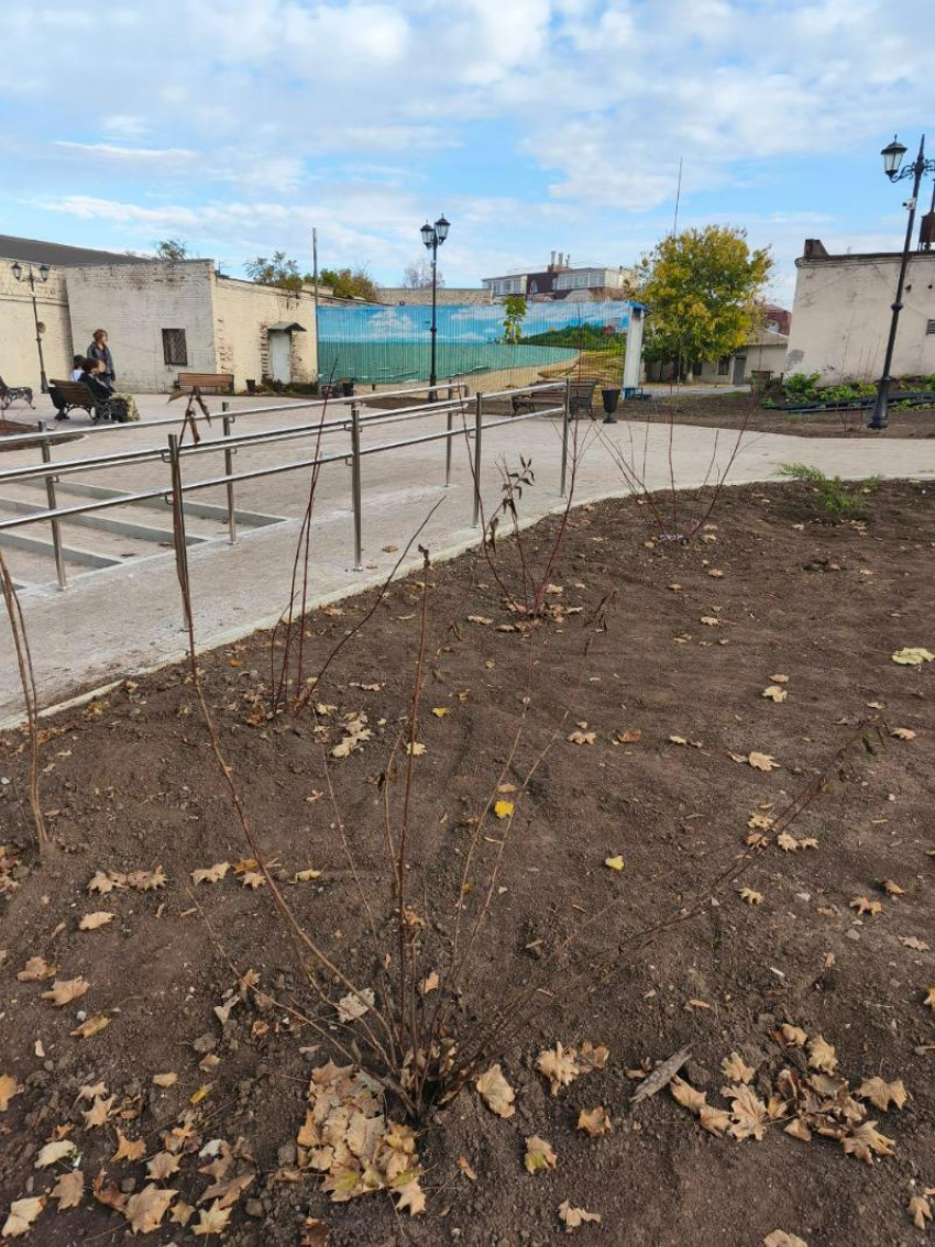 В Почтовом сквере Таганрога всё оптимистично, если бы не одно “но”