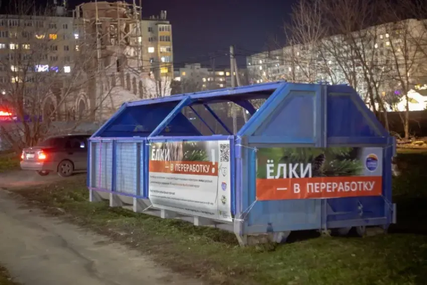 Таганрожцы могут сдать елки в переработку