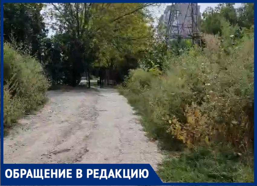 По кушерям да буеракам: таганроженка показала экстремальную дорогу к школе № 38